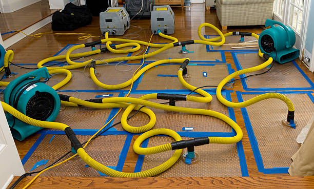 Professional Basement Flood Cleanup technician working in Penelope, TX